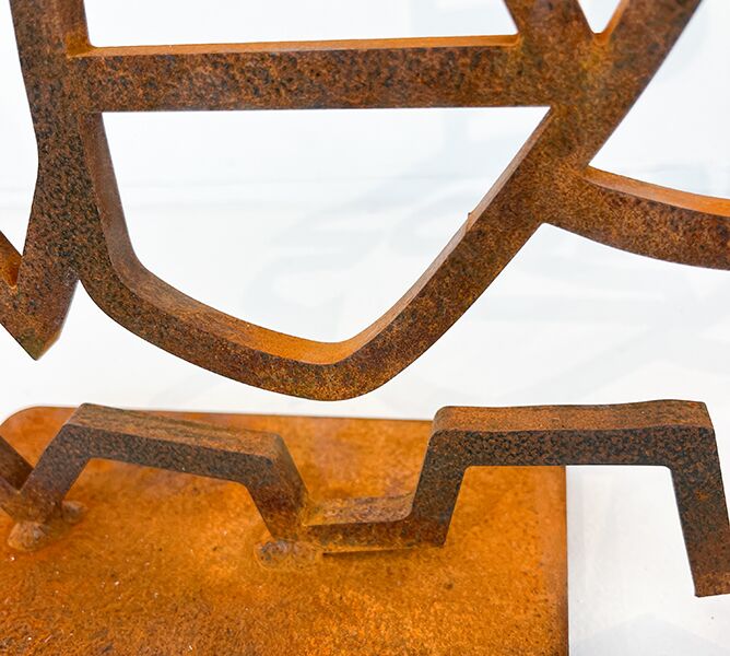 Crocc (roest) - Afbeelding 5