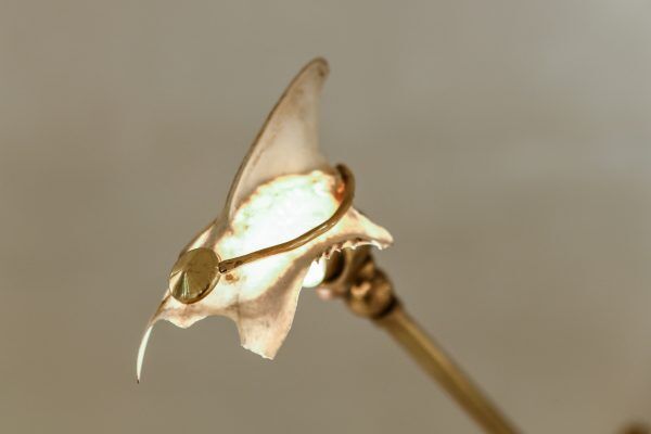 The cormorant statue desklamp - Afbeelding 3