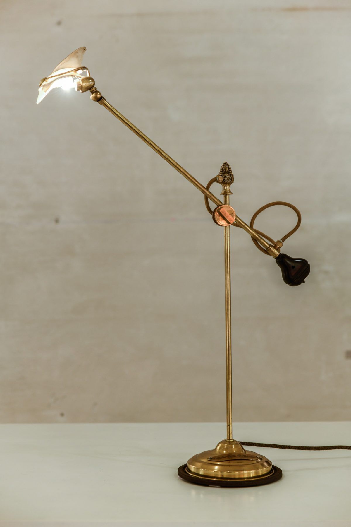 The cormorant statue desklamp